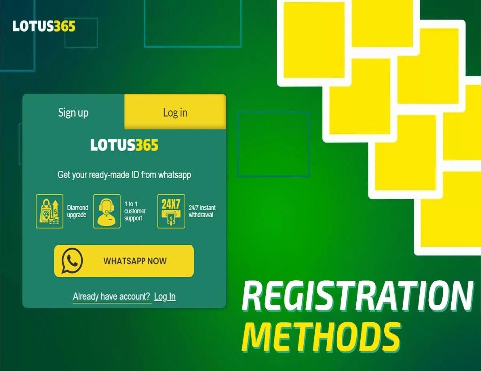 Lotus365's Strategy Decoded